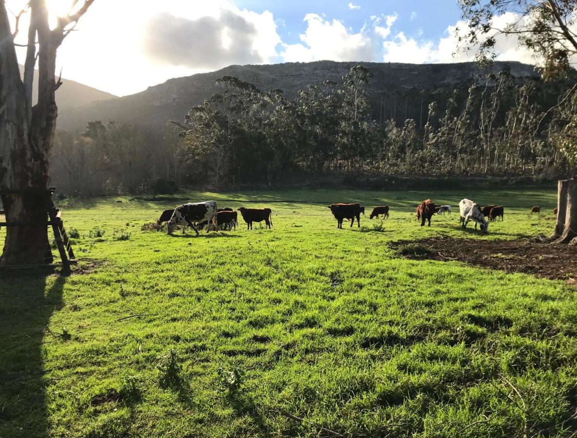 Kleine Vrede Farm Cottage Hermanus Eksteriør bilde