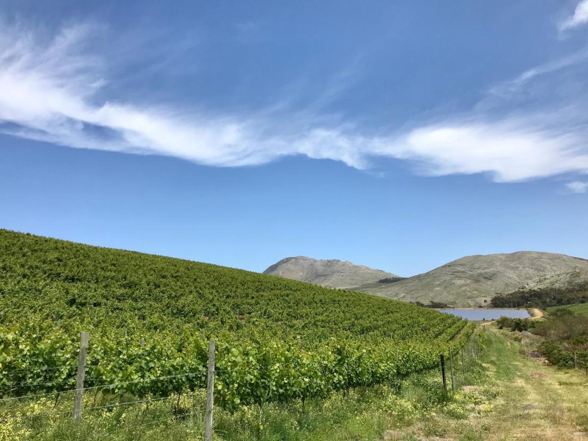 Kleine Vrede Farm Cottage Hermanus Eksteriør bilde