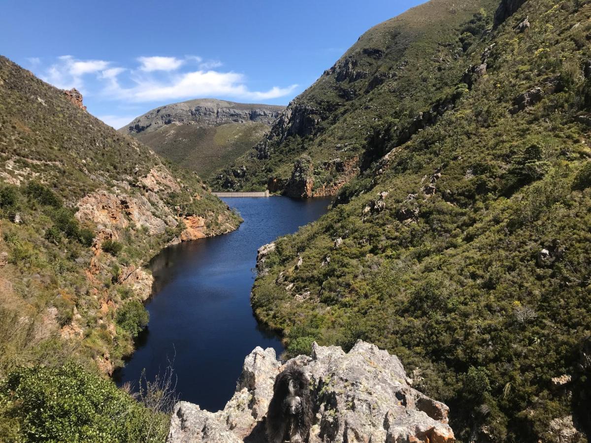 Kleine Vrede Farm Cottage Hermanus Eksteriør bilde