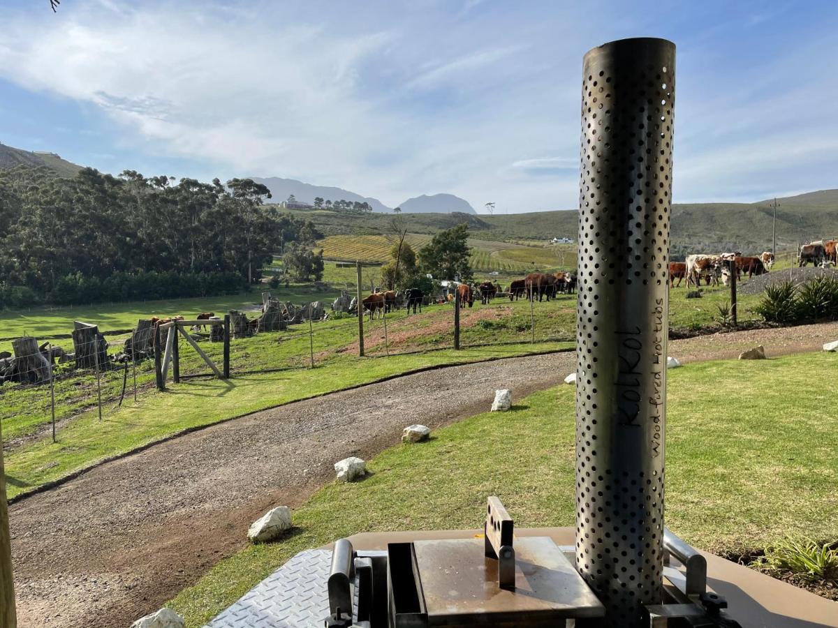 Kleine Vrede Farm Cottage Hermanus Eksteriør bilde