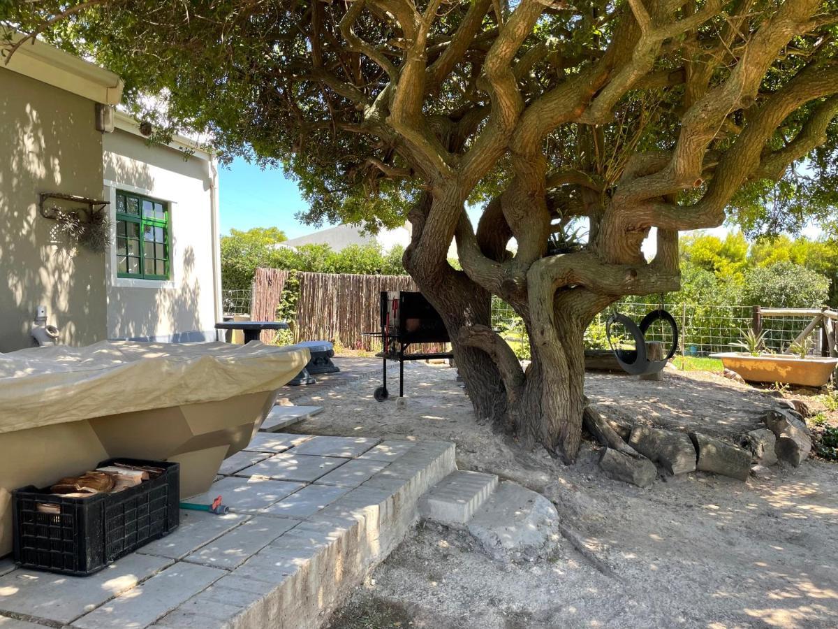 Kleine Vrede Farm Cottage Hermanus Eksteriør bilde